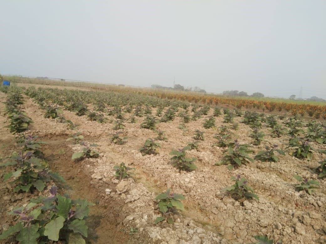Sarvodaya Farm program photo 8