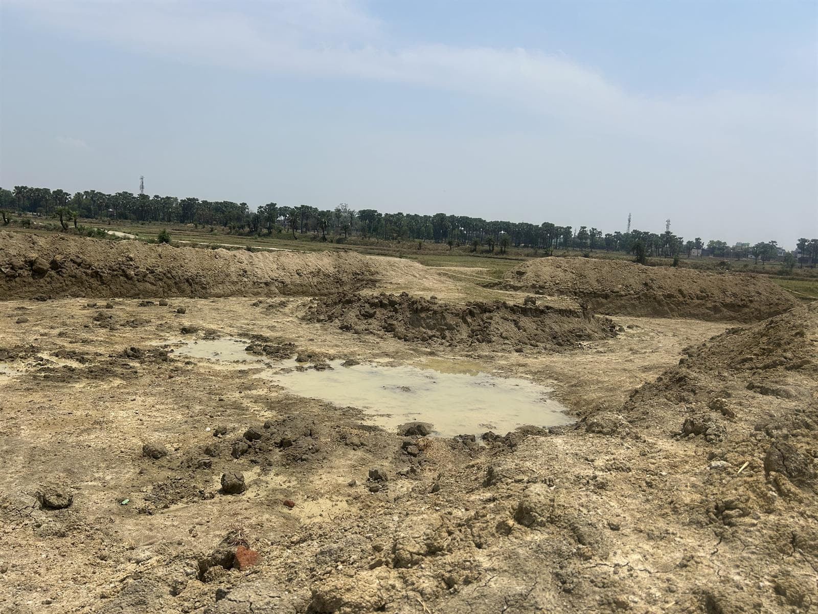 Sarvodaya Farm Datpa Aurangabad field activity 7